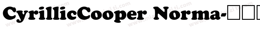 CyrillicCooper Norma字体转换